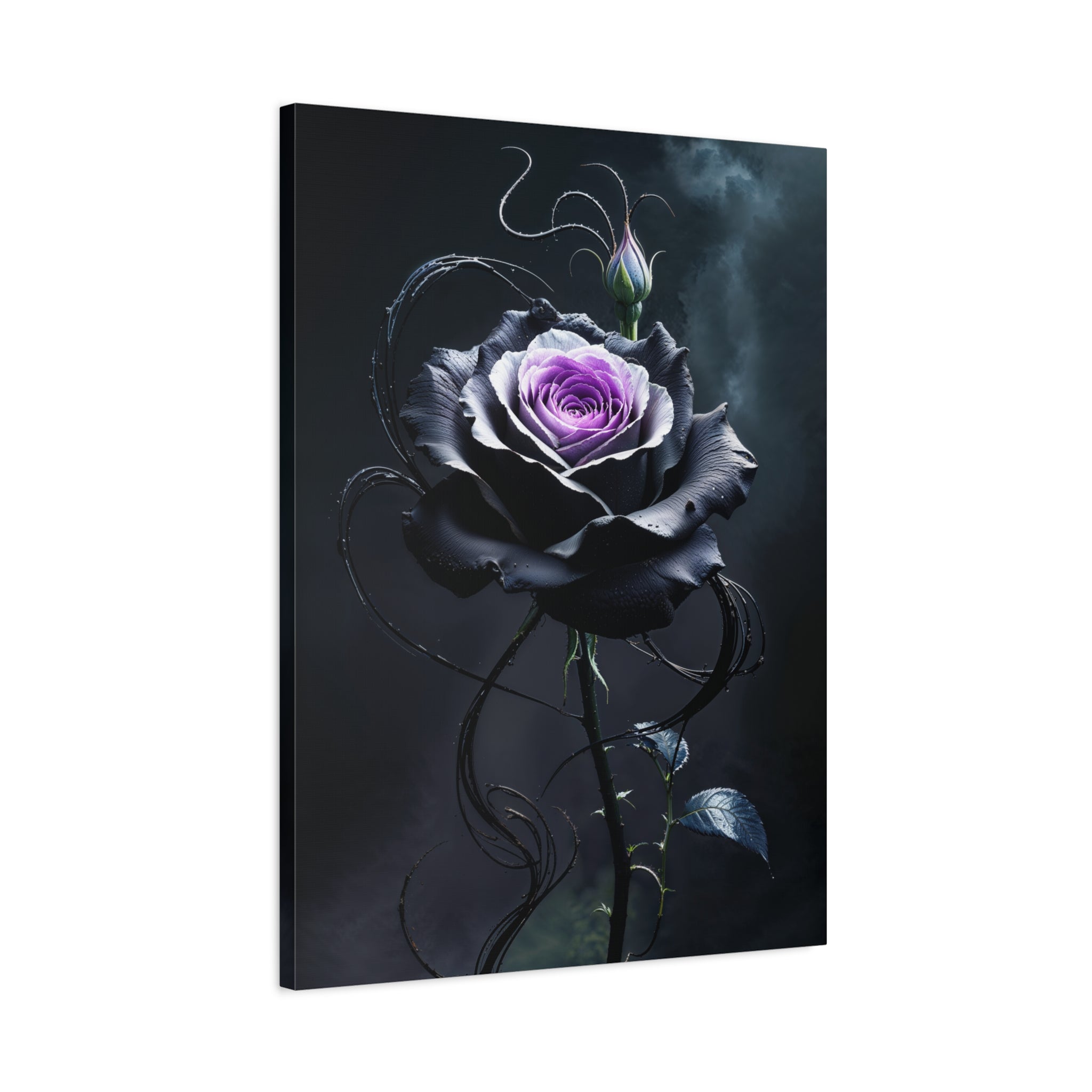  Shadow Bloom Canvas Print, a gothic rose artwork featuring a black rose with a violet center.